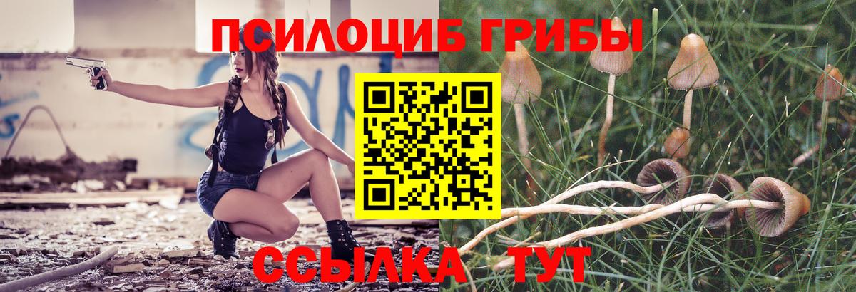 Галлюциногенные грибы мицелий  Вход с VPN  даркнет сайт  Кирово-Чепецк 