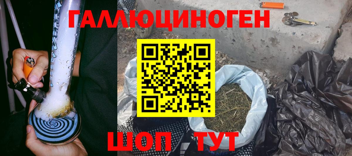 Галлюциногенные грибы Psilocybine cubensis Кирово-Чепецк